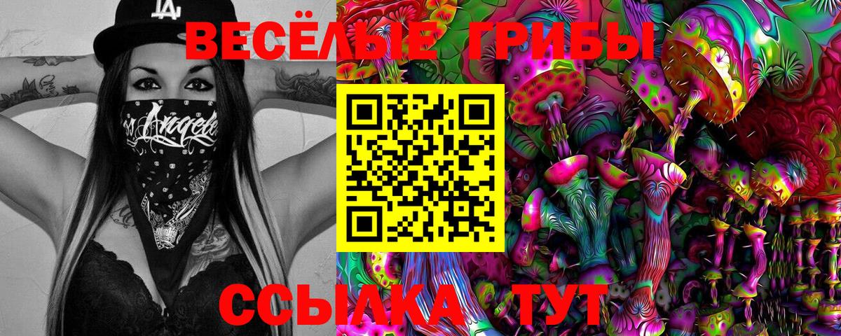 Тельмана  Галлюциногенные грибы мицелий  Вход с VPN 